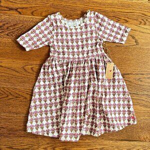 NWT Pink Chicken Organic Cotton Steph Dress in Jaipur Flower Pink Print